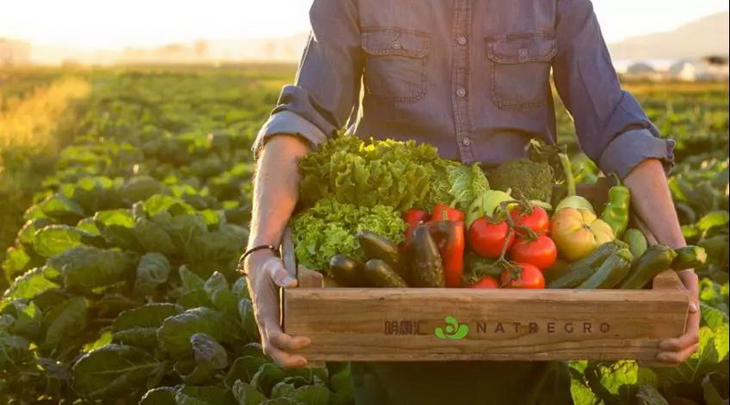 1550562698342392lZIR.jpg 7.jpg