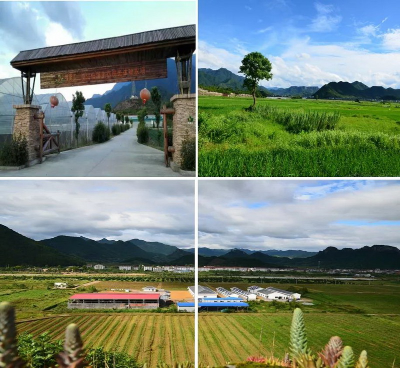 1550562733805070F8VZ.jpg 8.jpg