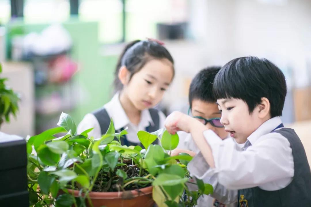 15826865842537228g3X.jpg 4.jpg